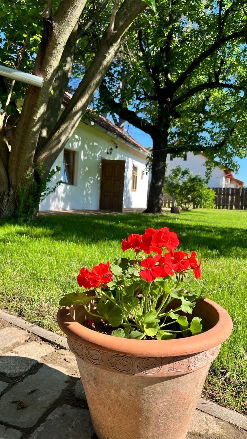 Garden, Garden view