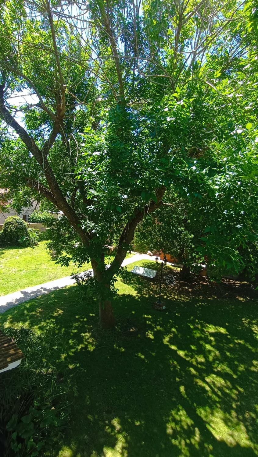Garden, Garden view