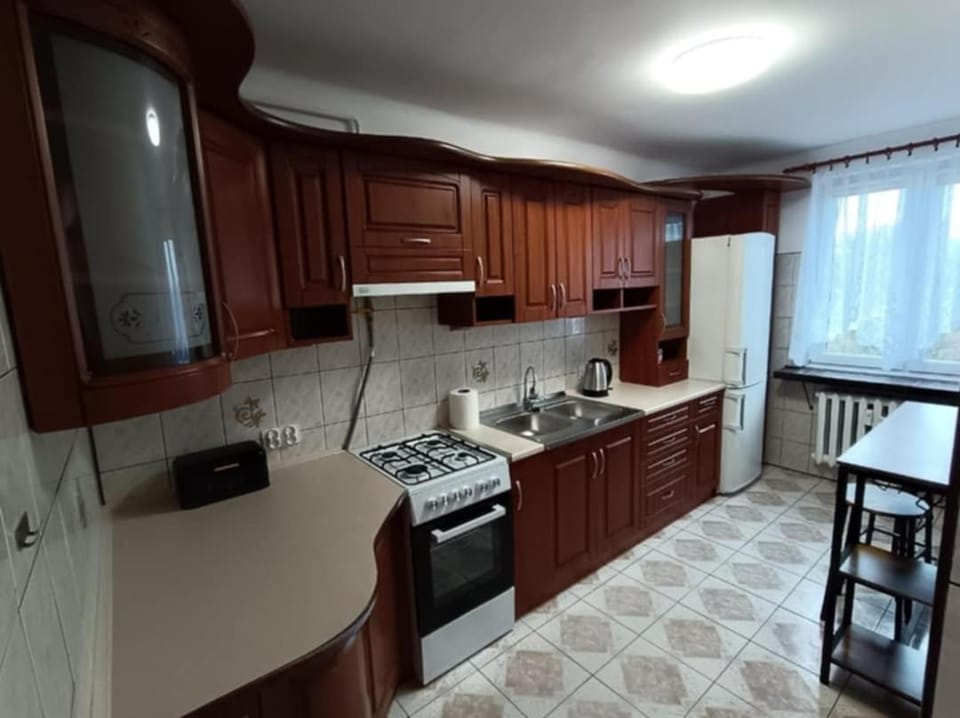 Apartament do wynajęcia Apartment in Lviv Oblast