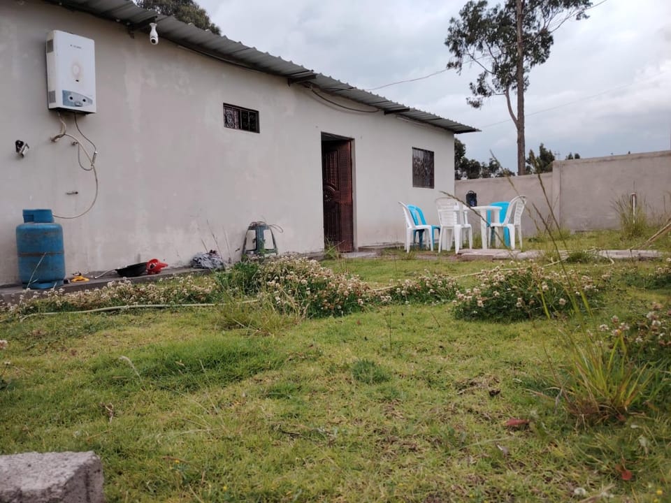 Spring, Garden, Garden view