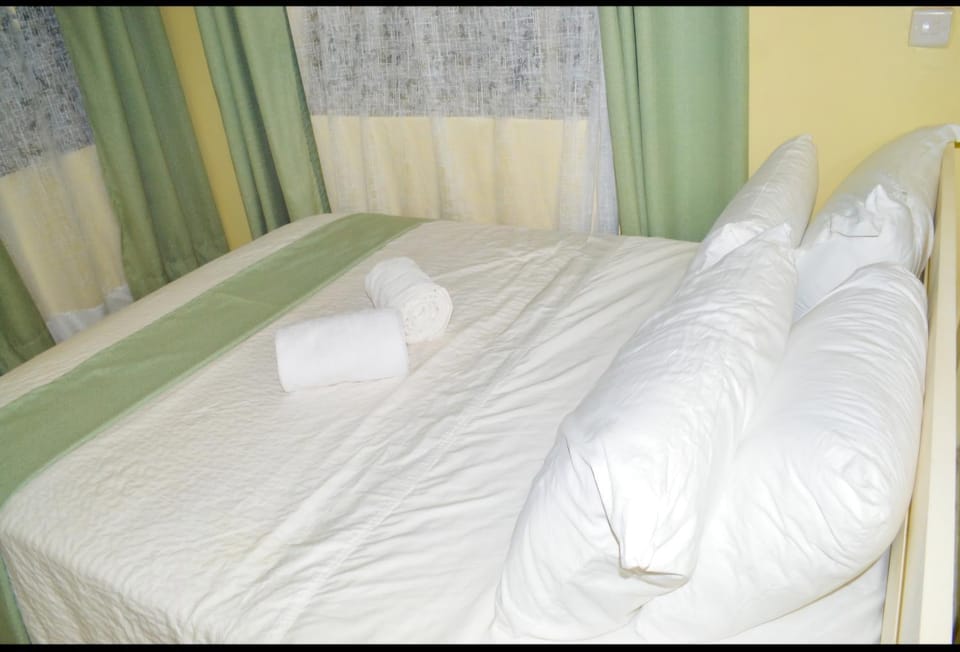 Angie's staycation 3 br apartment free wifi, netflix, parking Apartment in Uganda