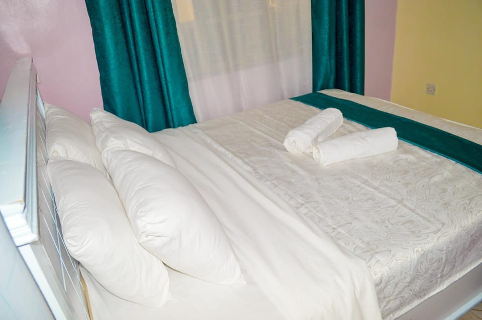 Angie's staycation 3 br apartment free wifi, netflix, parking Apartment in Uganda