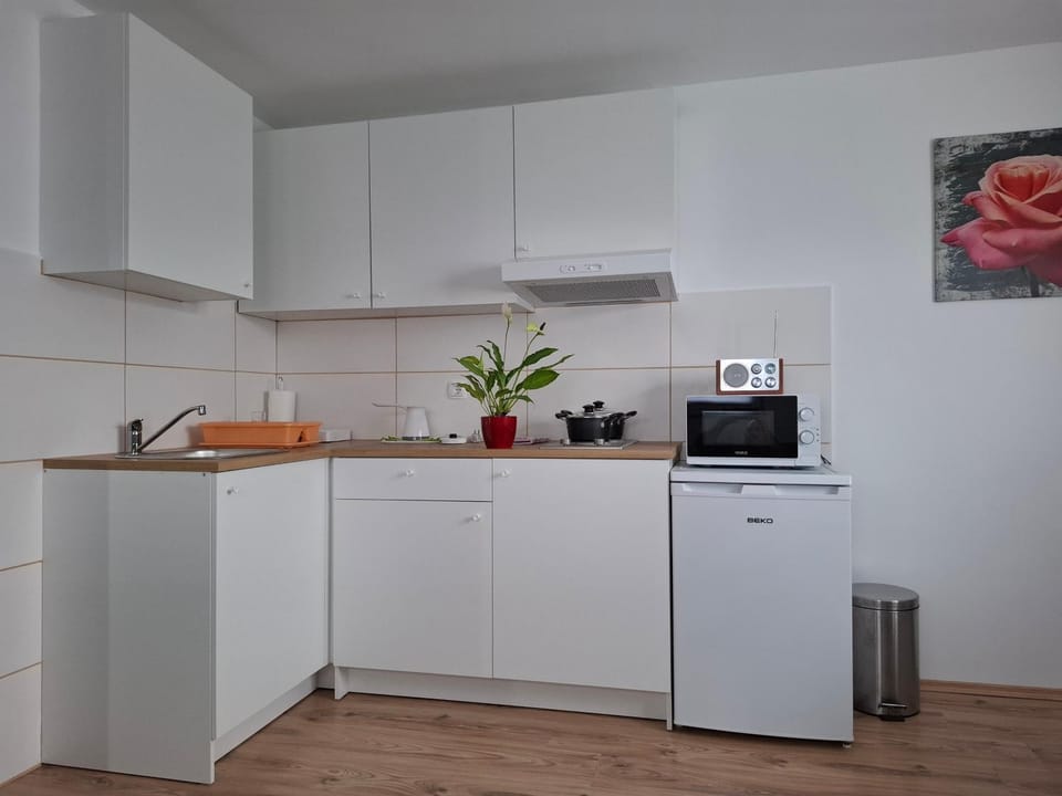 Kitchen or kitchenette, microwave, stove