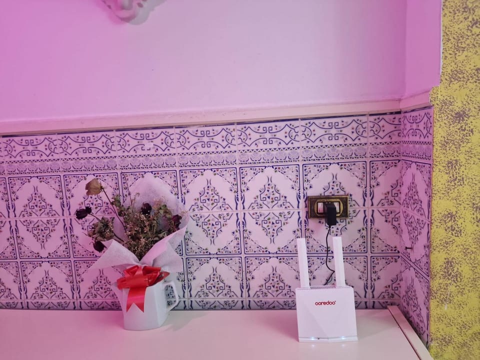 Dar Mima House in Tunis