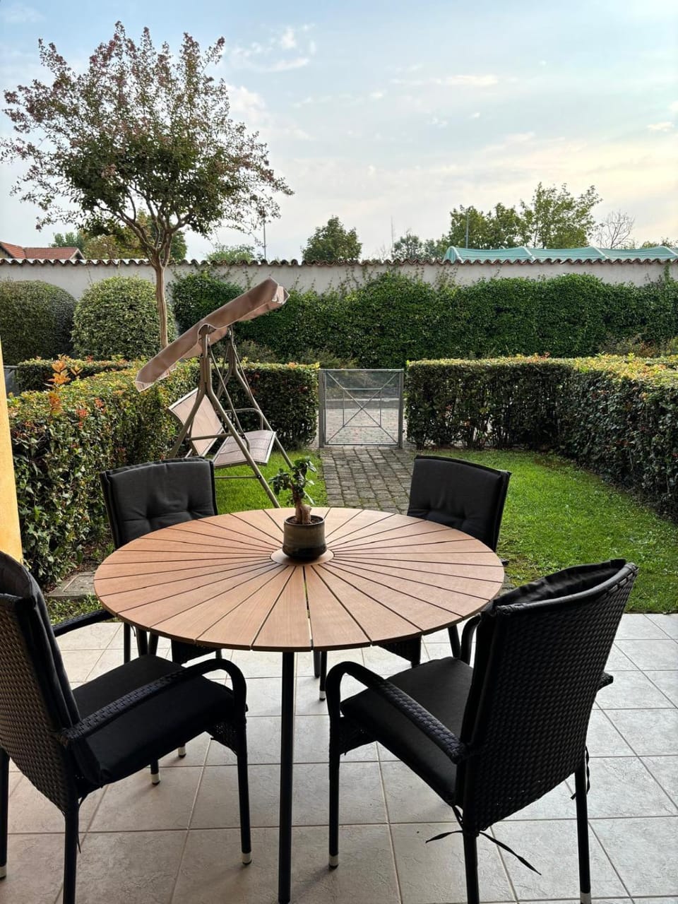 Patio, Garden, Garden