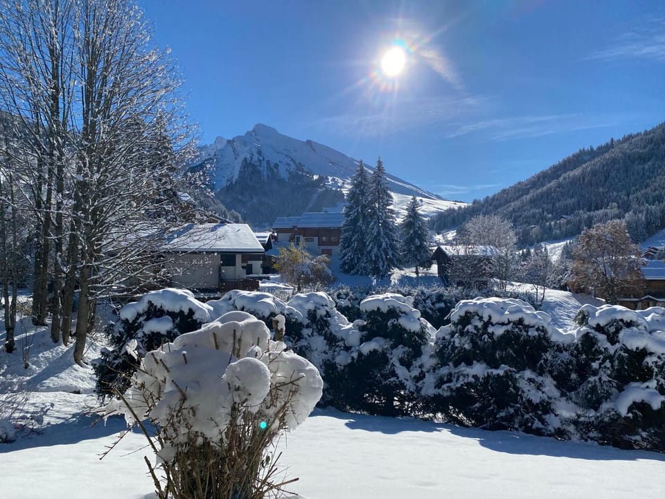 Mountain view