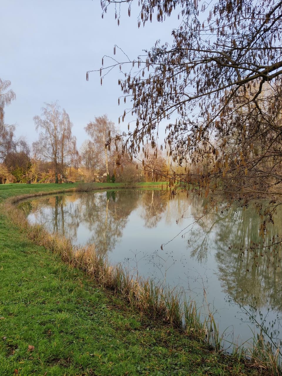 la chambre d'Andrea Bed and Breakfast in Pays de la Loire