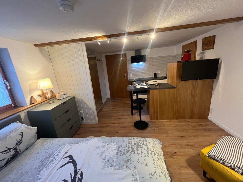 Schwarzwald-Nest Lenzkirch Apartment in Baden-Württemberg