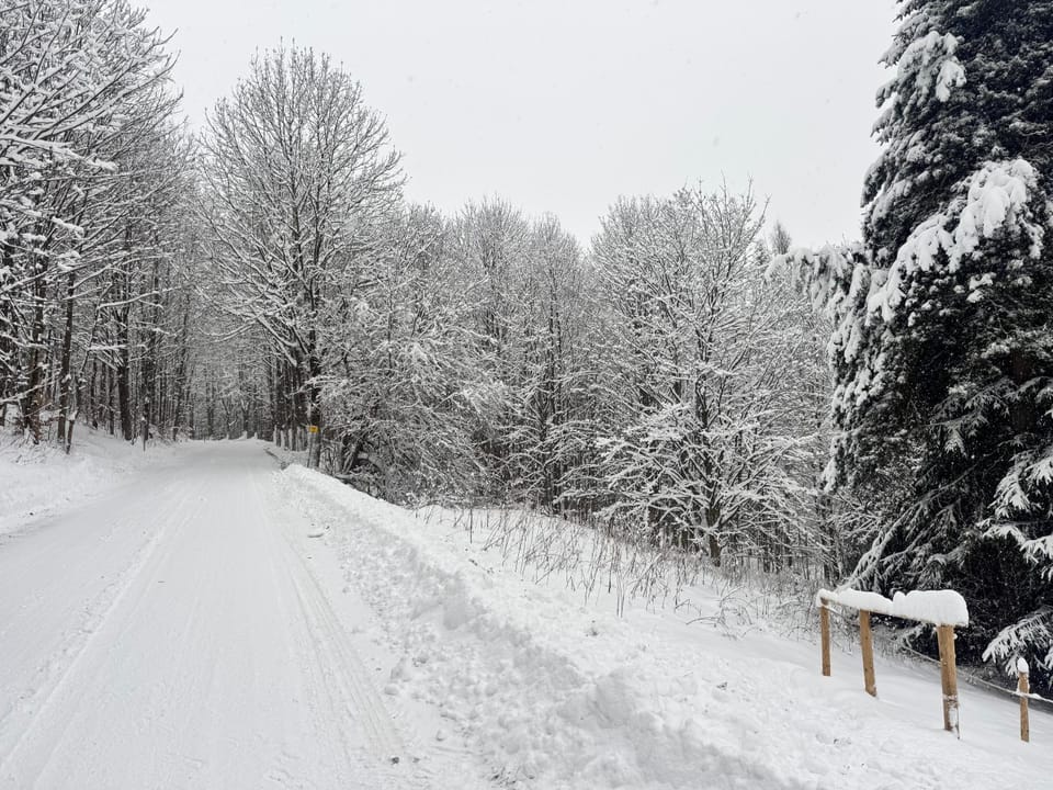 Winter