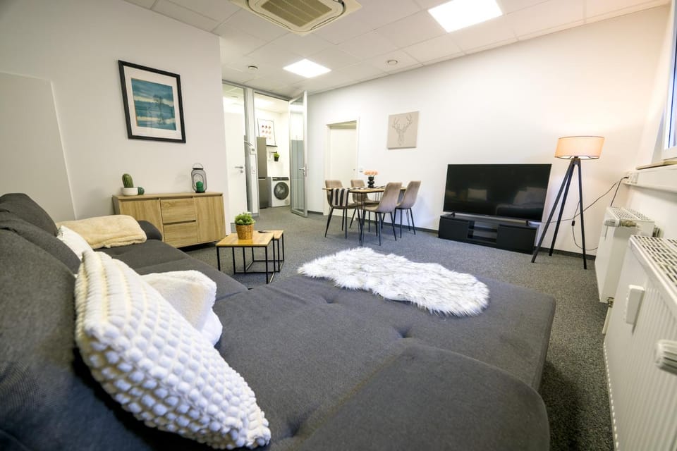 Bed, TV and multimedia, Living room, Photo of the whole room, Seating area, Dining area, Bedroom, towels, air conditioner