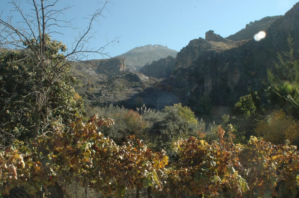Day, Natural landscape
