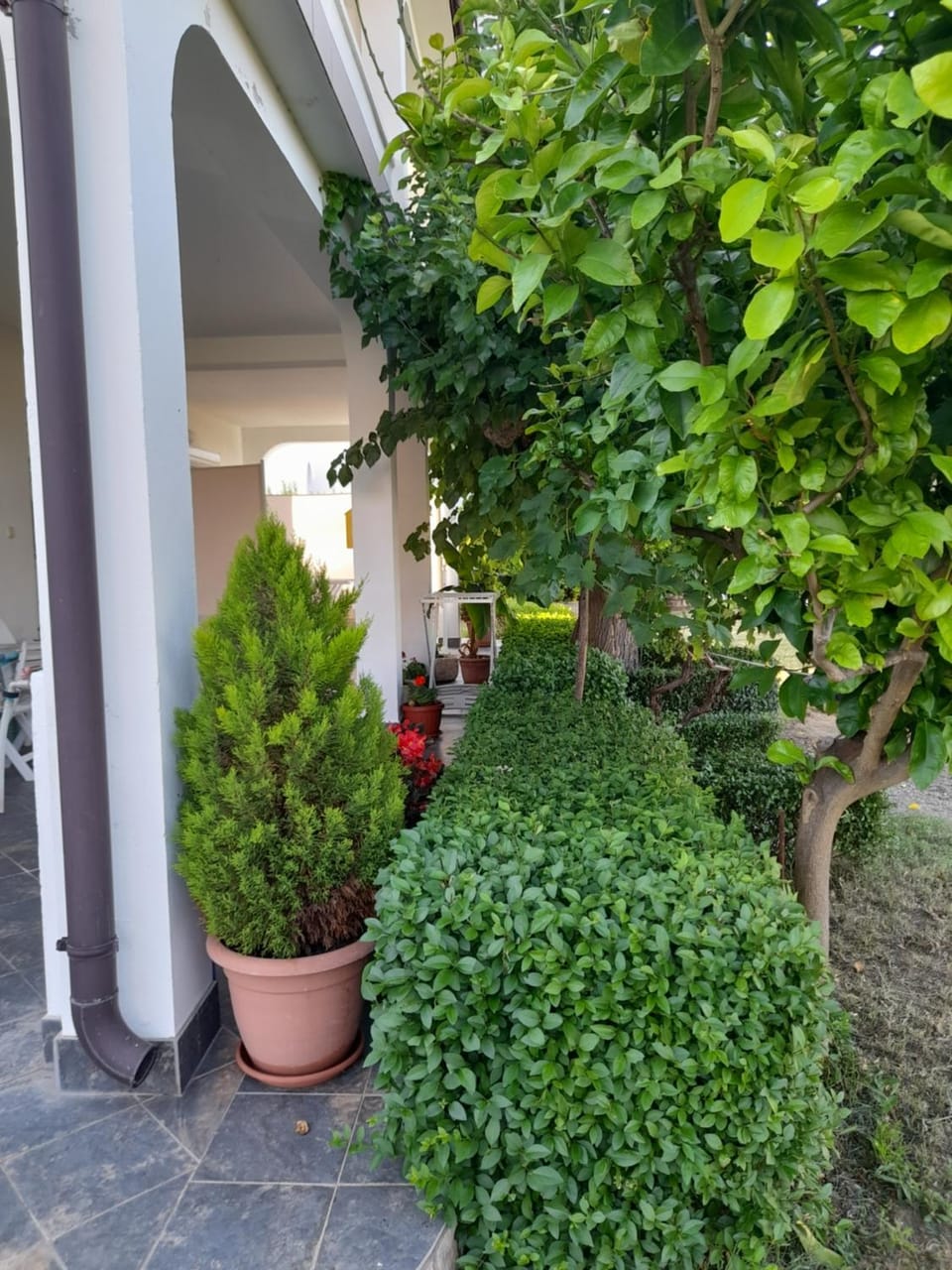 Holiday S&M Apartment in Lopar