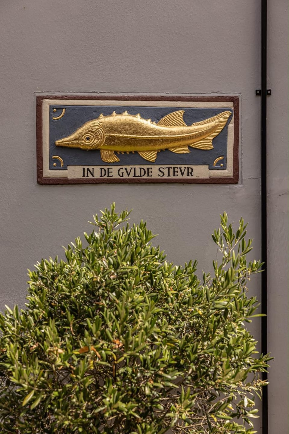 Property logo or sign