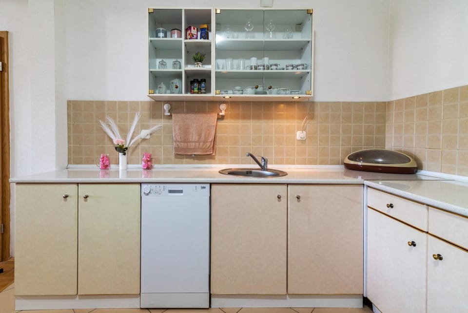 Kitchen or kitchenette, dishwasher, stove