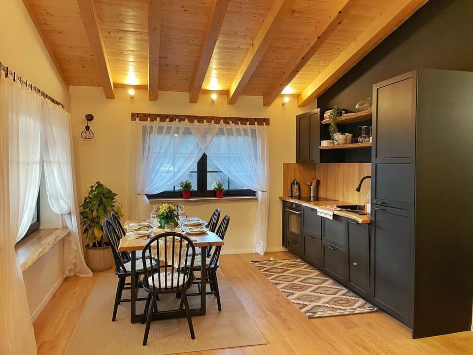 Kitchen or kitchenette, Dining area, oven