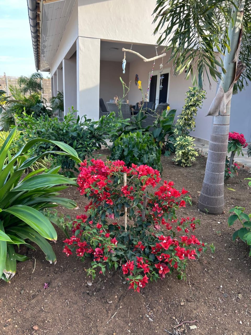 Property building, Day, Garden, Garden view