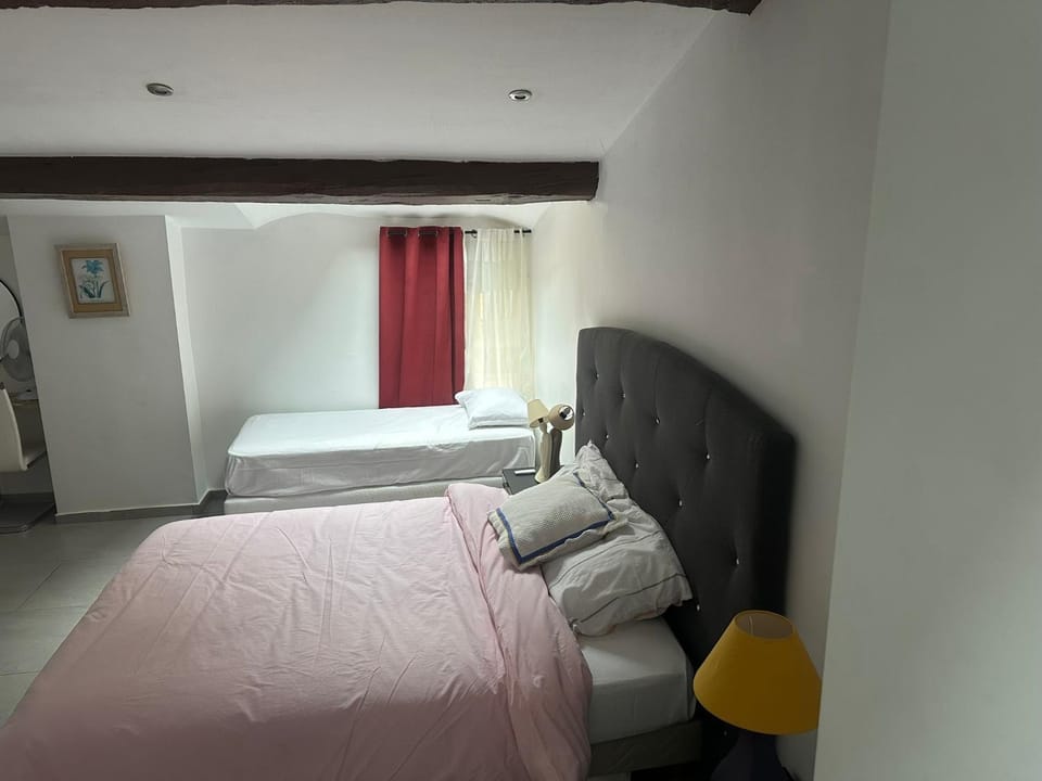 Cannes centre ville en face du port Apartment in Cannes