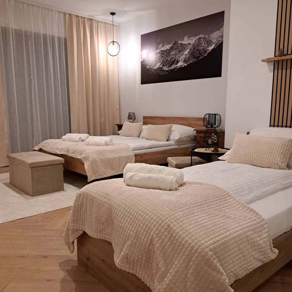 Apartament Kryształowy Potok Apartment in Zakopane