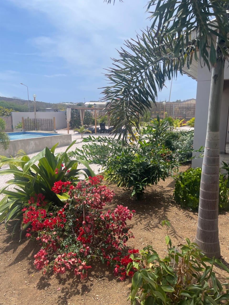 Garden, Swimming pool, sunbed
