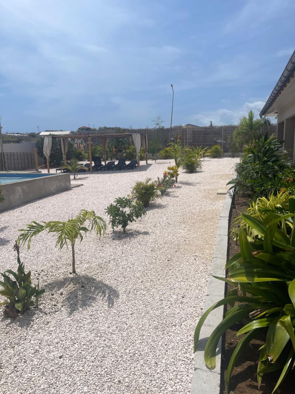 Day, Garden, Swimming pool, sunbed