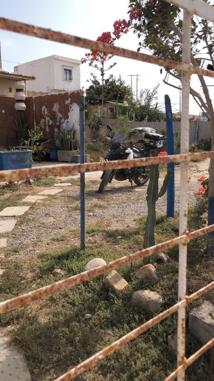 Garden, Garden