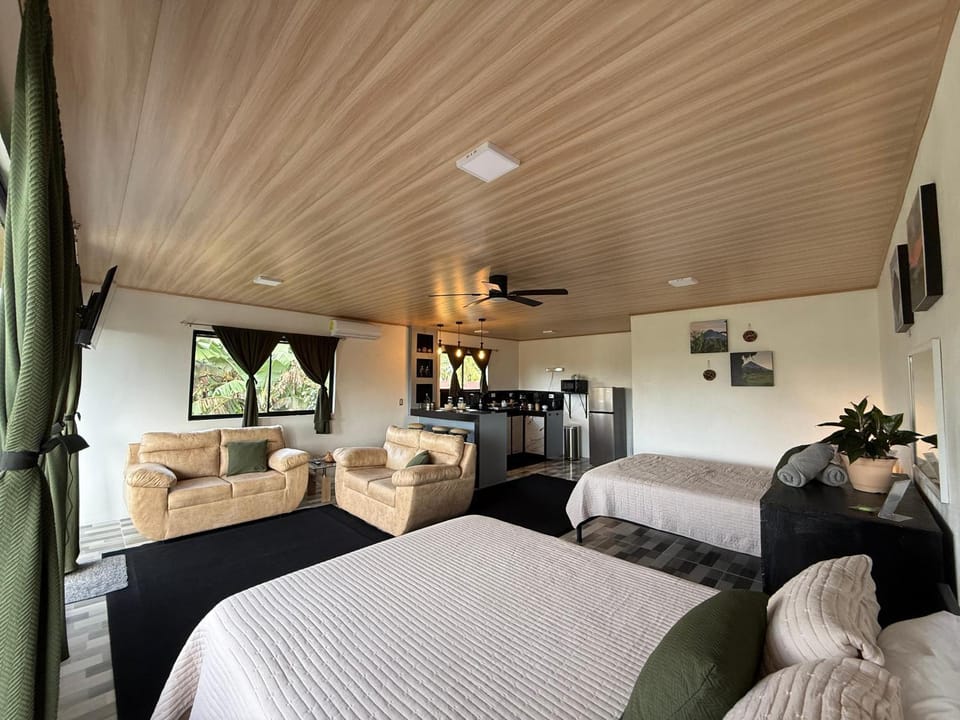 Photo of the whole room