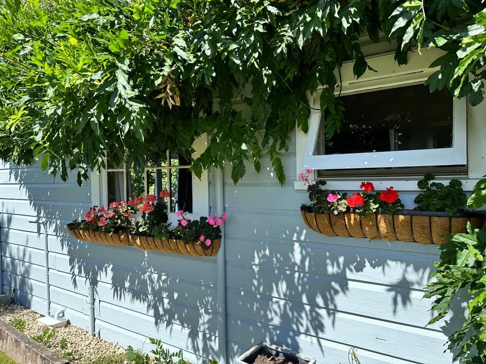 The Brambles Apartment in Wellington Region