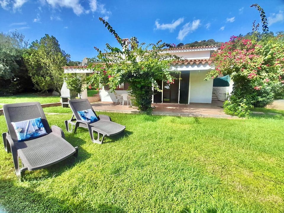 Property building, Garden, sunbed