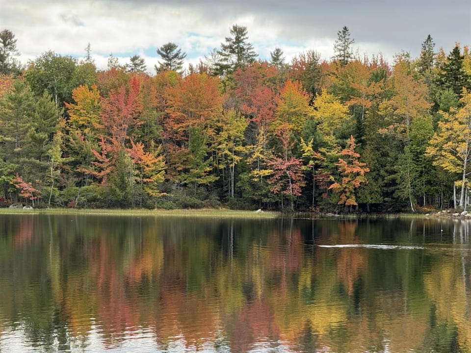Waterfront-40min to Acadia-Main House-Kayaks Villa in Orland