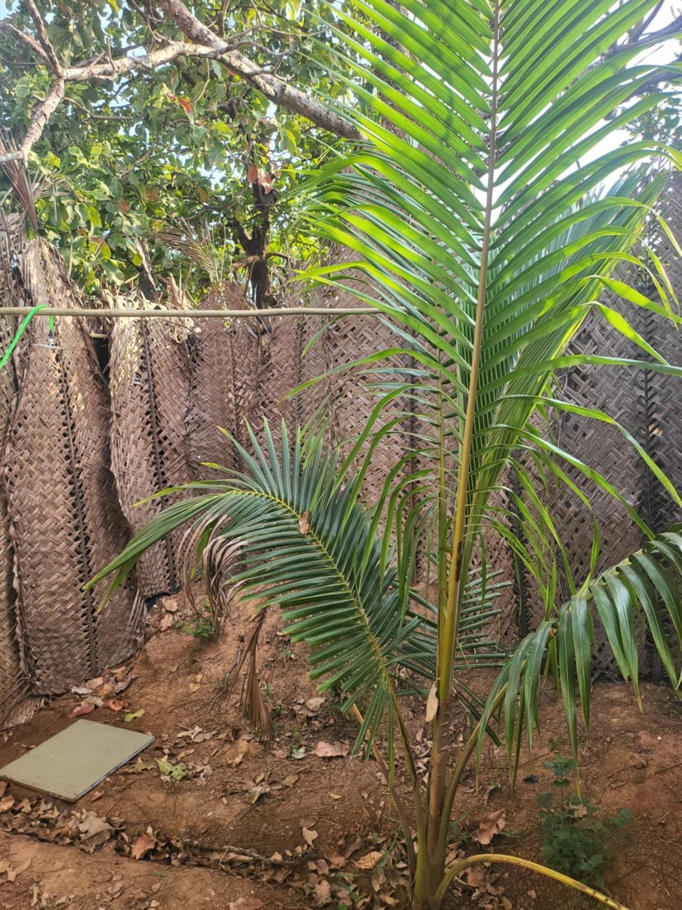 Inner courtyard view