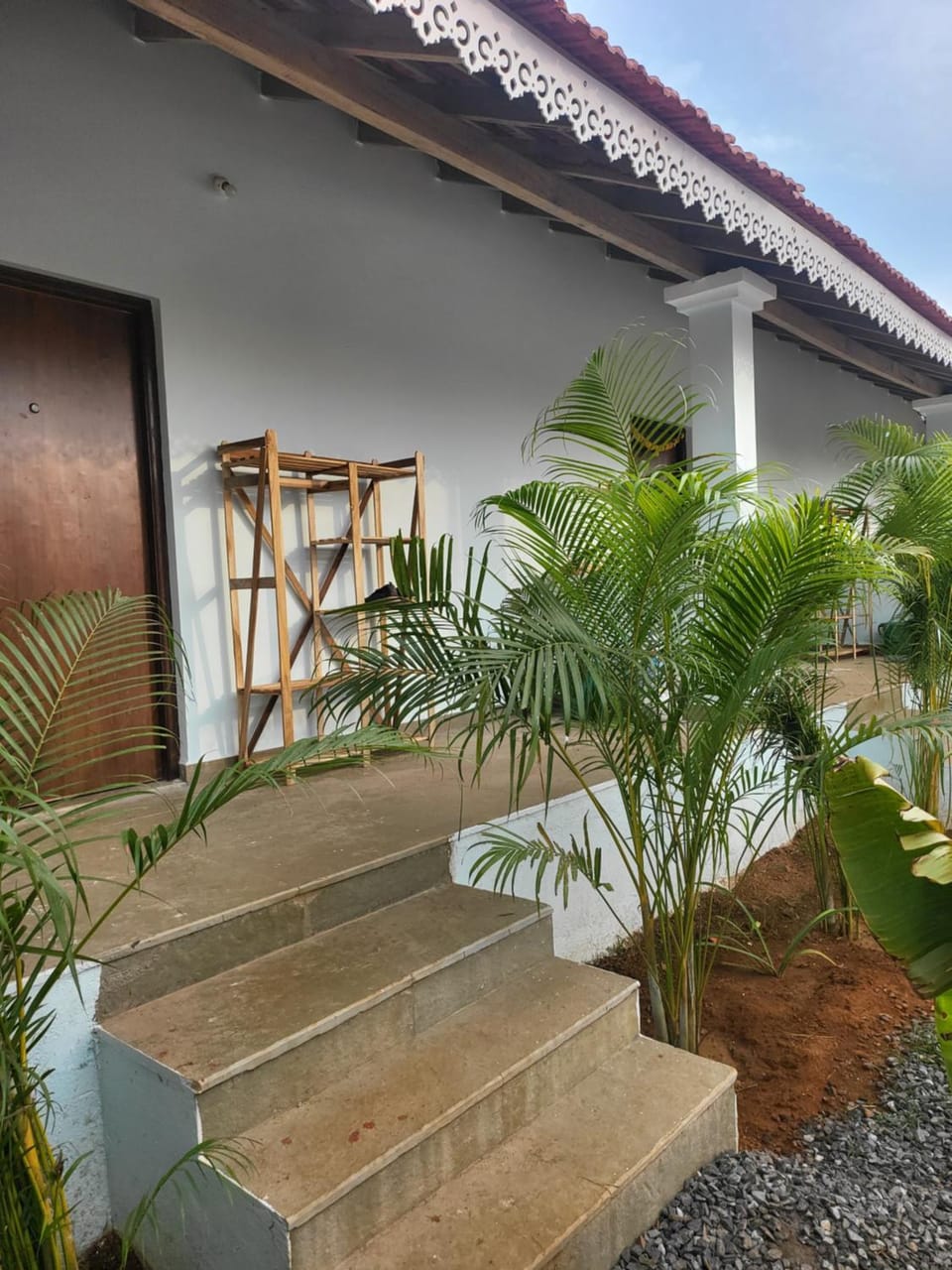 Day, Garden, Garden view