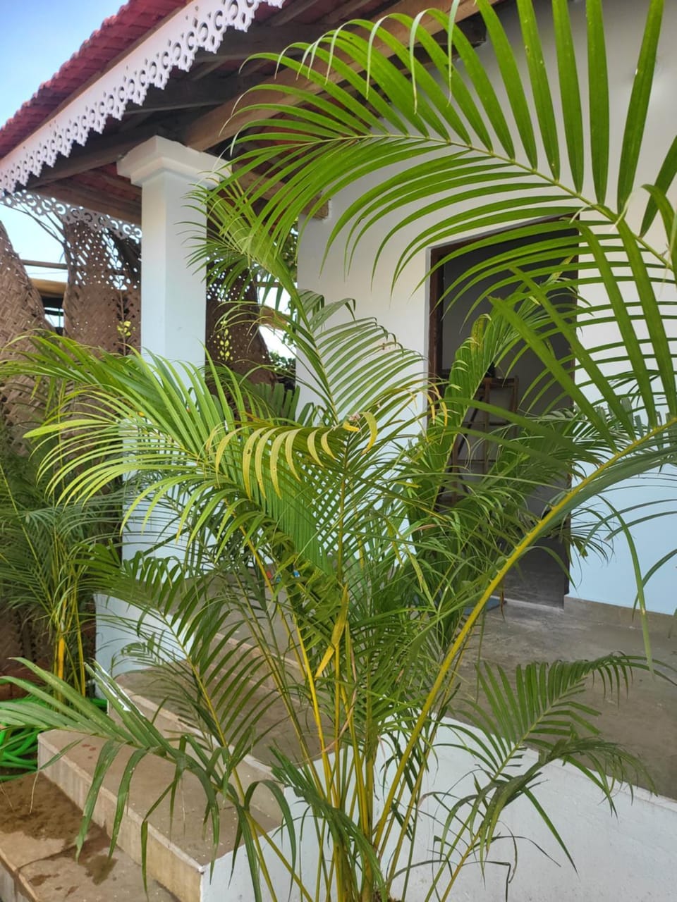 Property building, Day, Garden, Garden view
