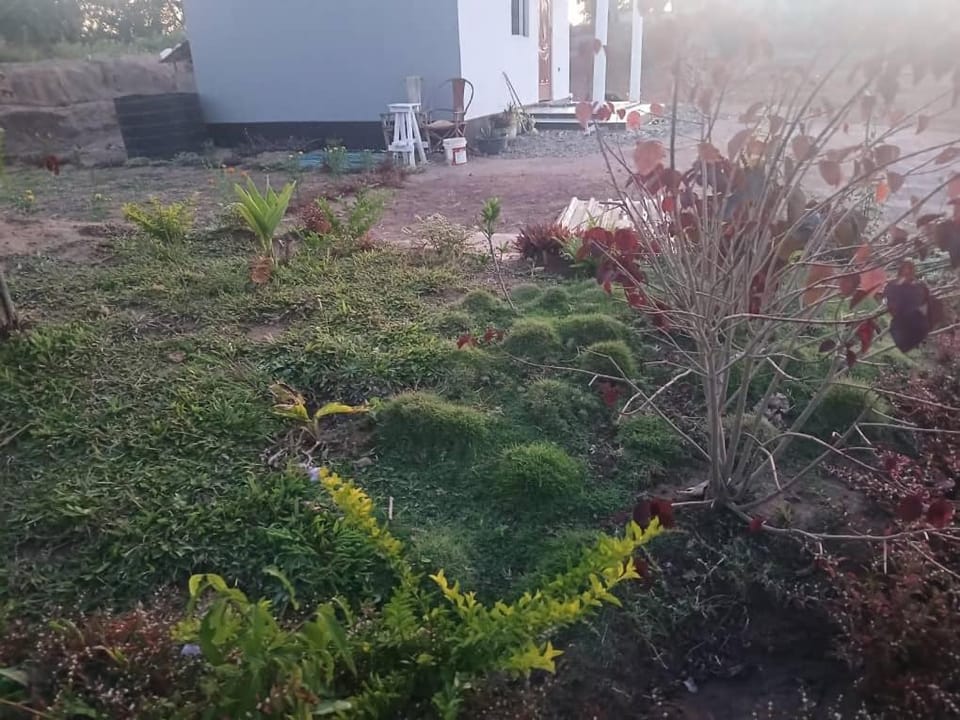 Makucha Ya Simba Homestay and camping grounds in mwanza Country House in Tanzania
