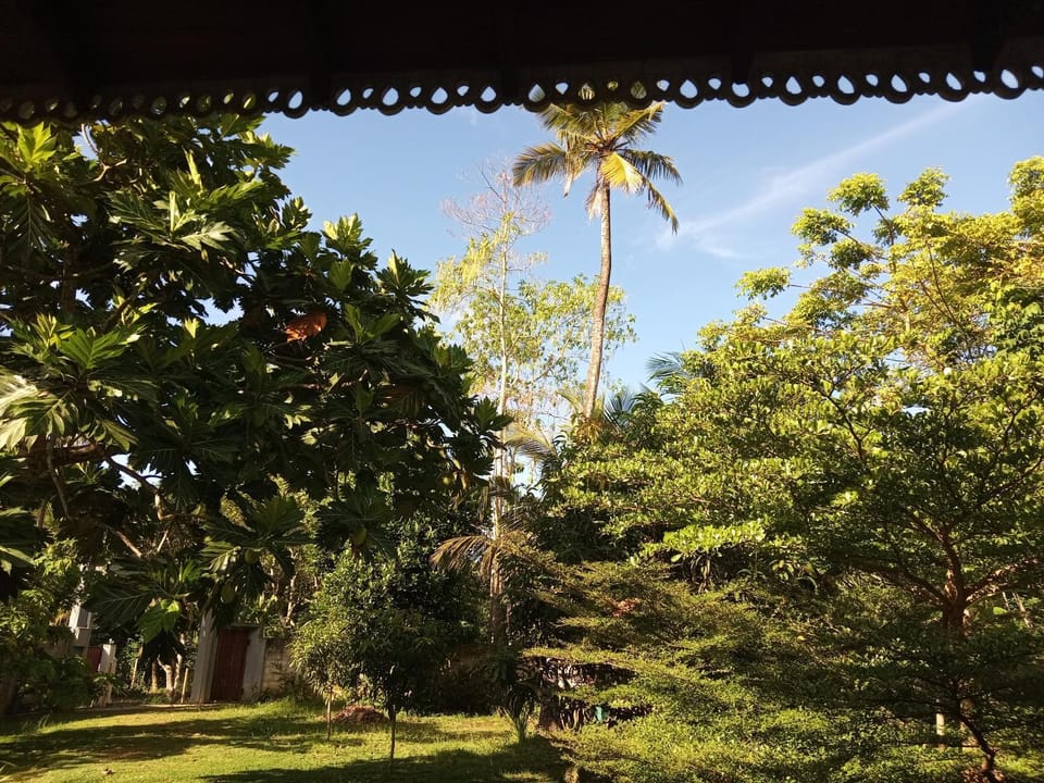 Garden view