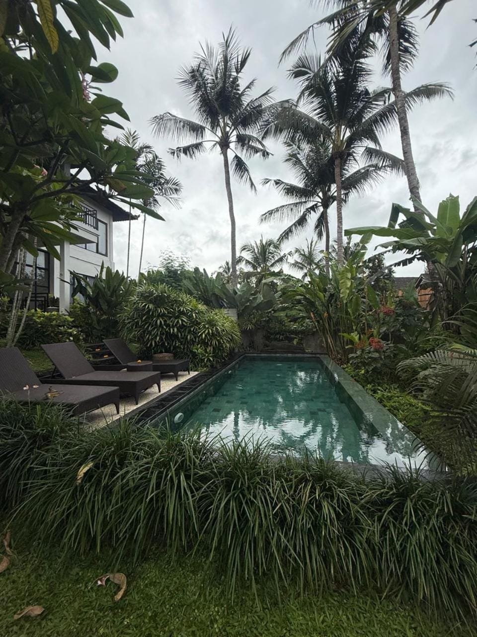 Garden, Swimming pool