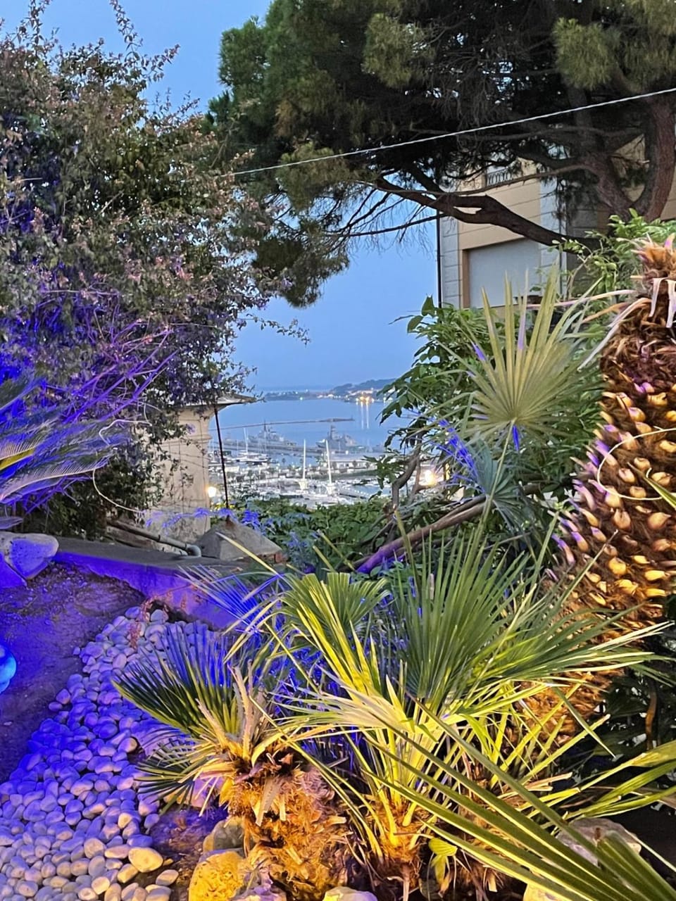 Garden, Sea view
