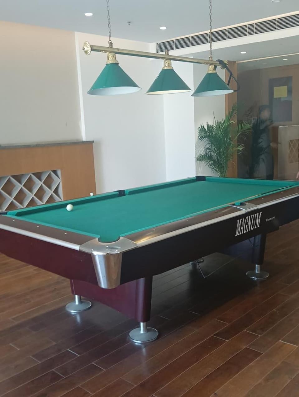Couple cozy one key Apartment in Gurugram