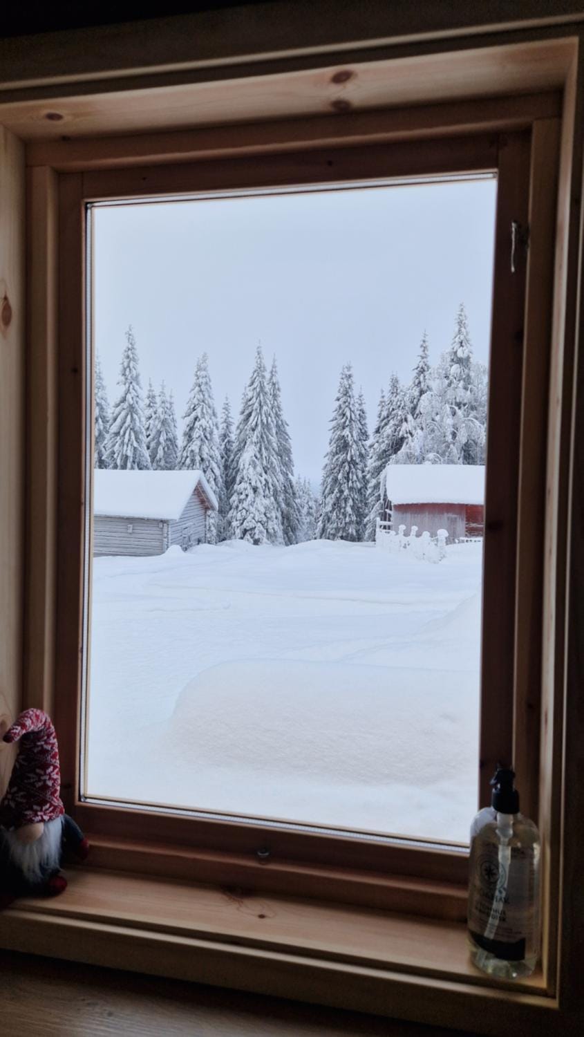Winter, View (from property/room), kitchen