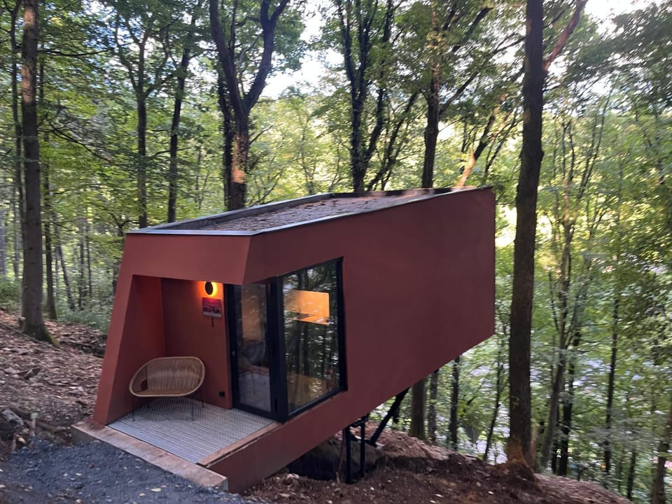 Séneçon des bois 08 Nature lodge in Wallonia, Belgium