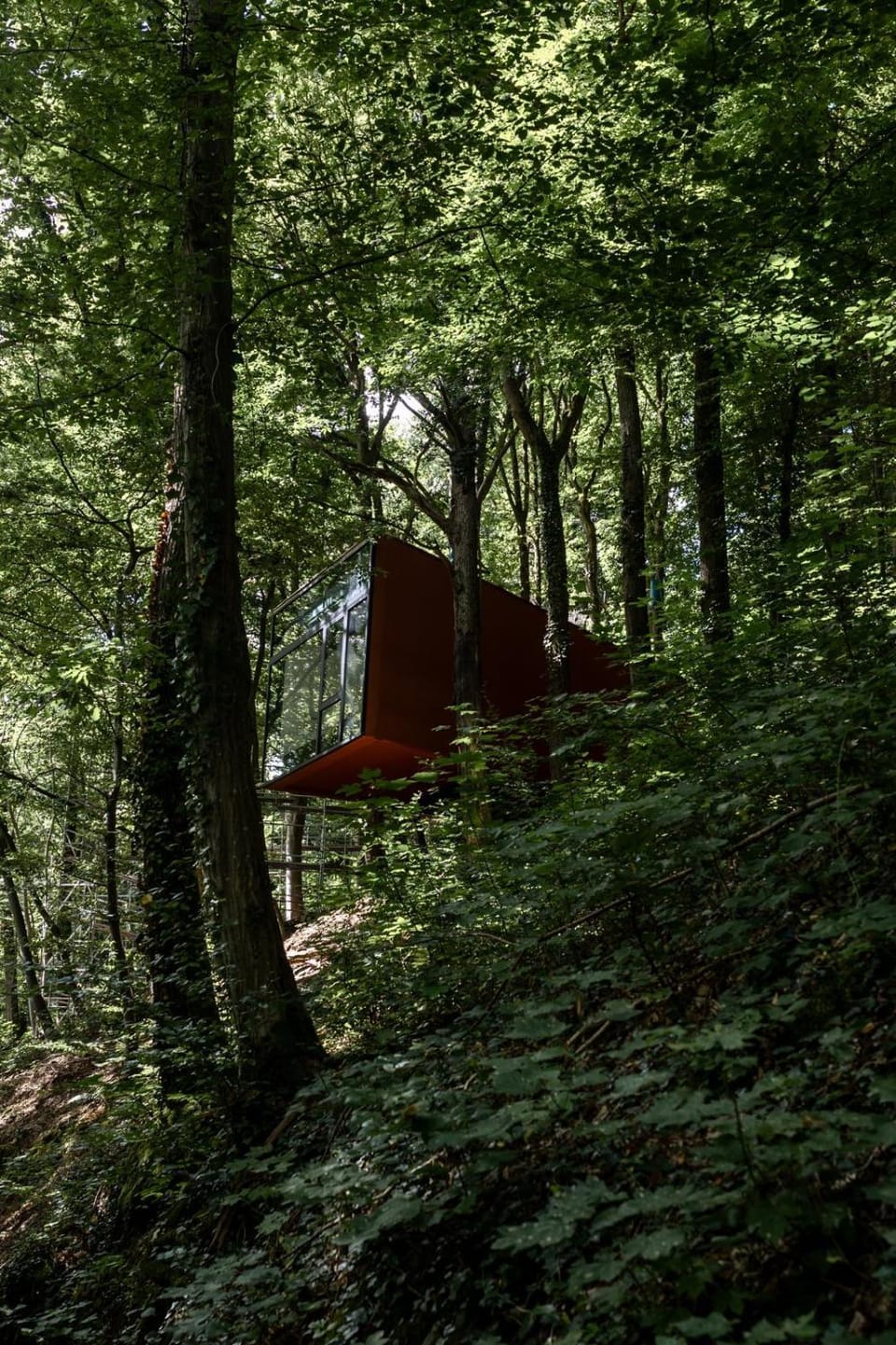 Séneçon des bois 08 Nature lodge in Wallonia, Belgium