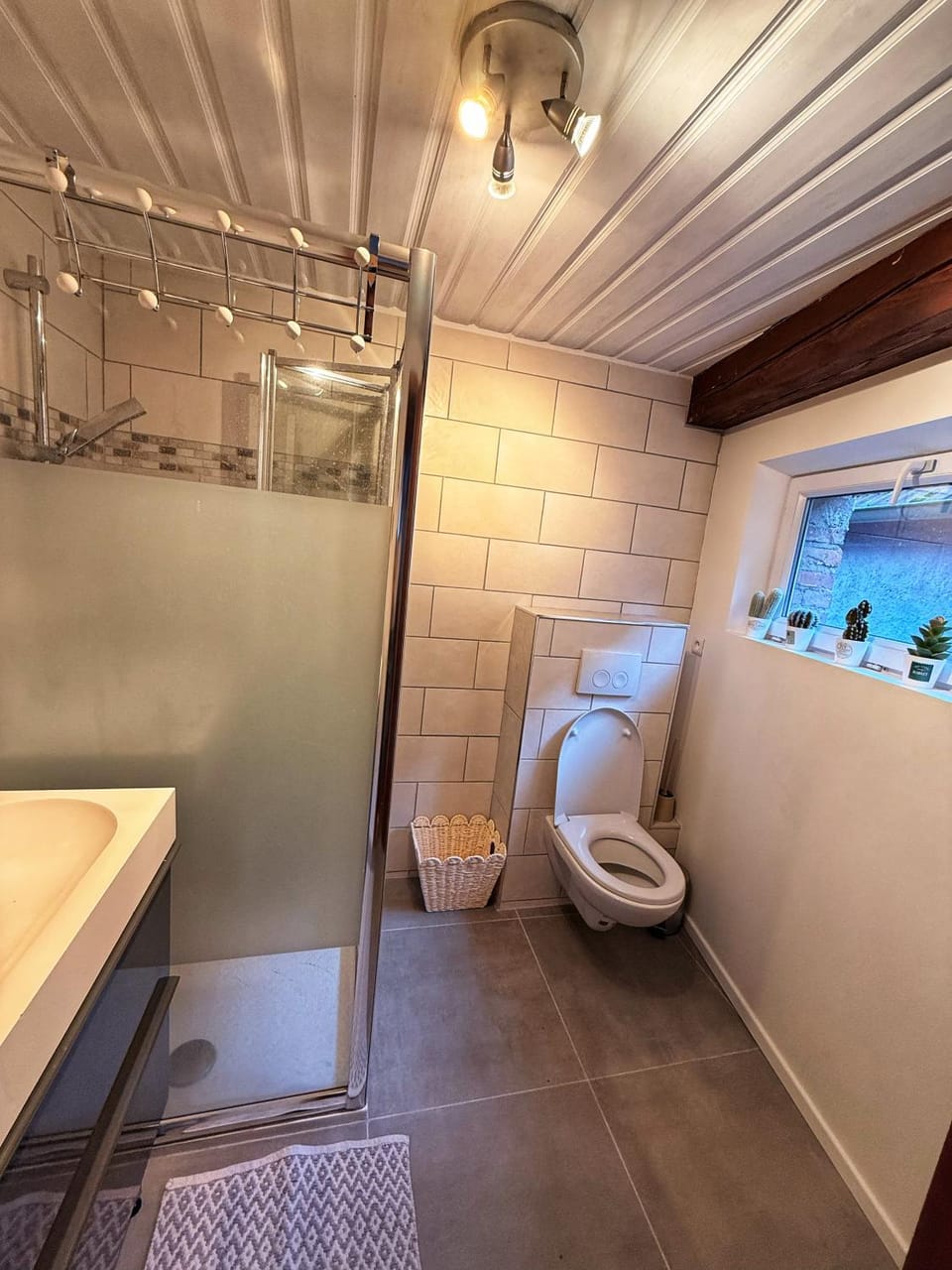 Shower, Toilet