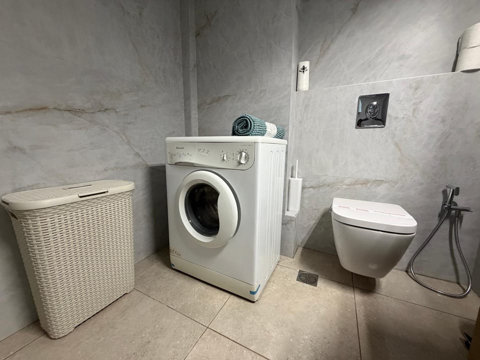 Toilet, Bathroom, washing machine