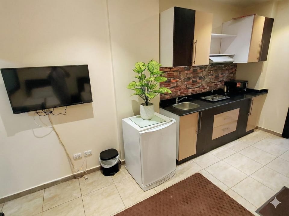 TV and multimedia, Kitchen or kitchenette, minibar, stove