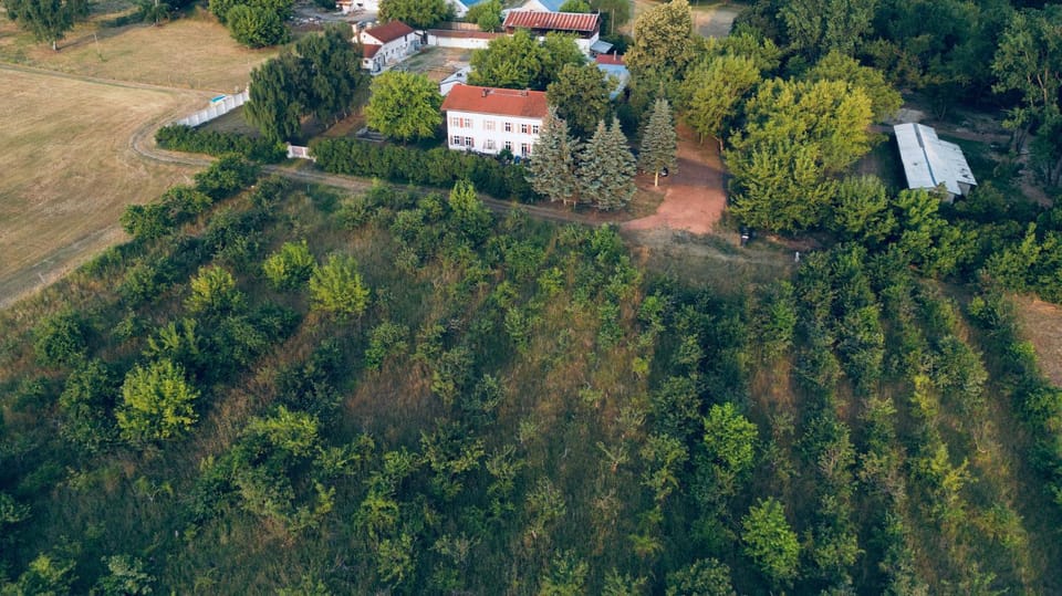 Natural landscape