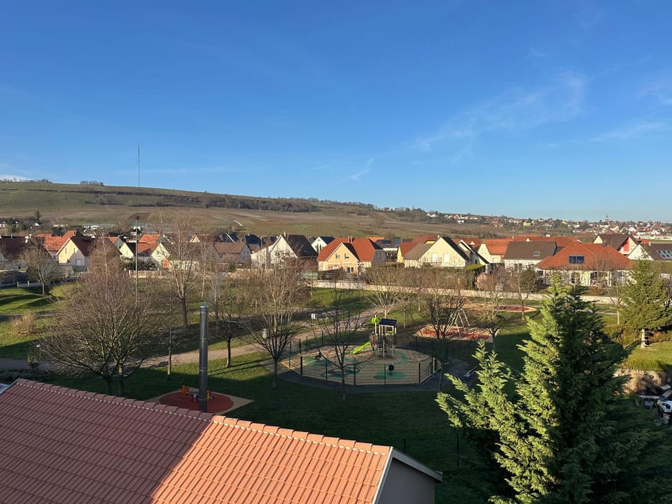 Appartement avec parking - 20 min de Strasbourg Apartment in Grand Est