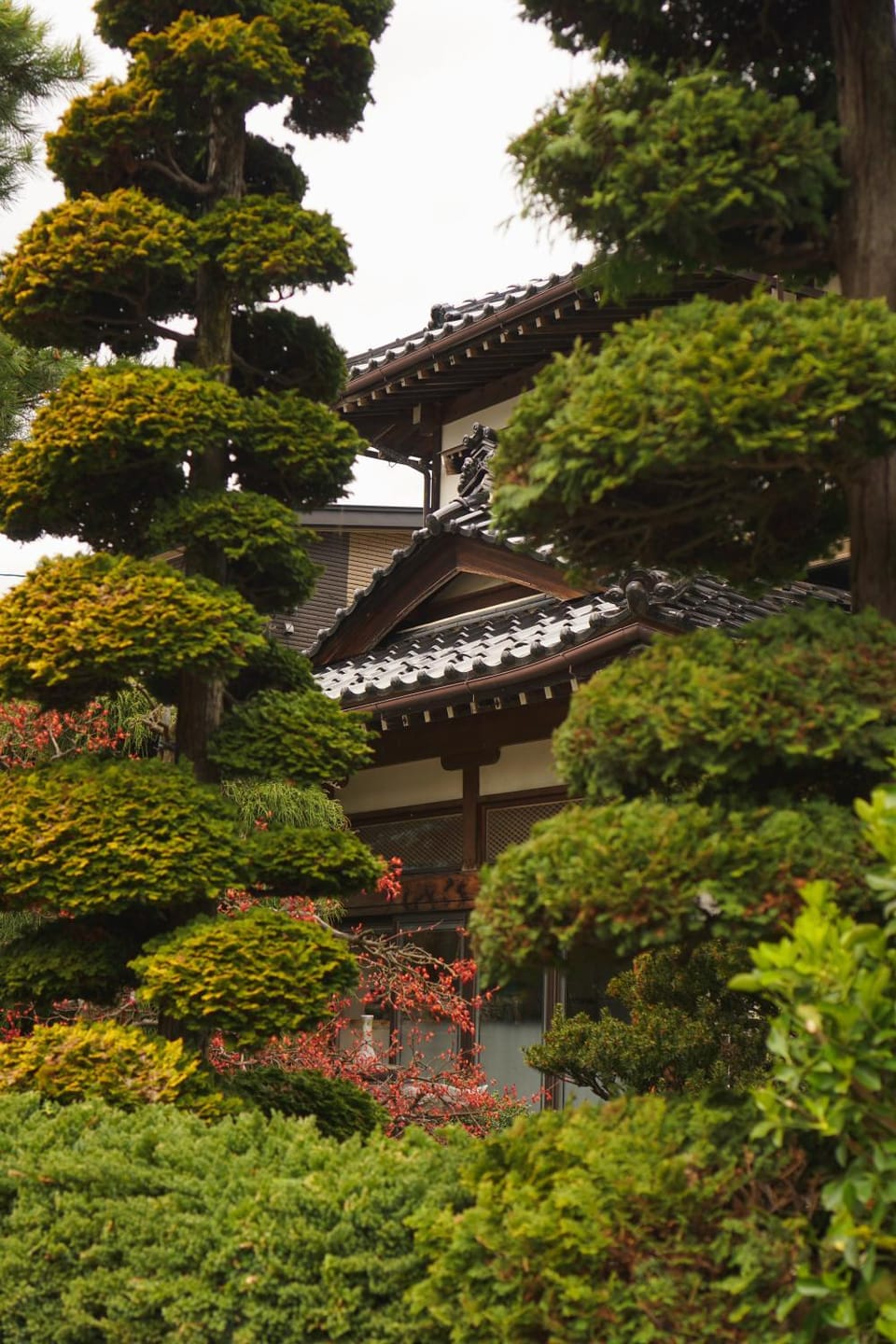 Property building, Garden