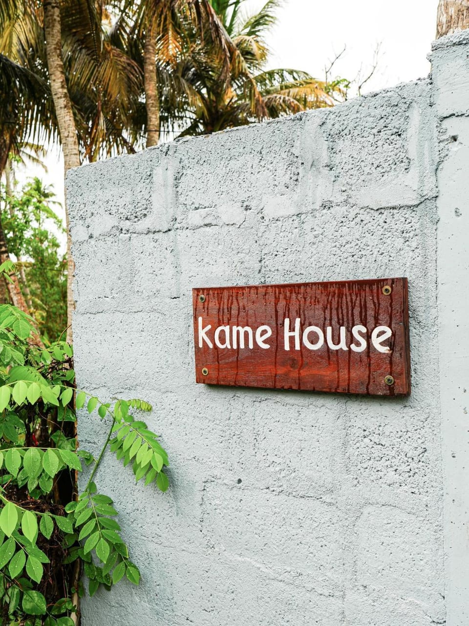 Logo/Certificate/Sign