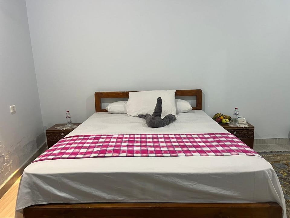 Nile Flower Guesthouse Villa in Luxor