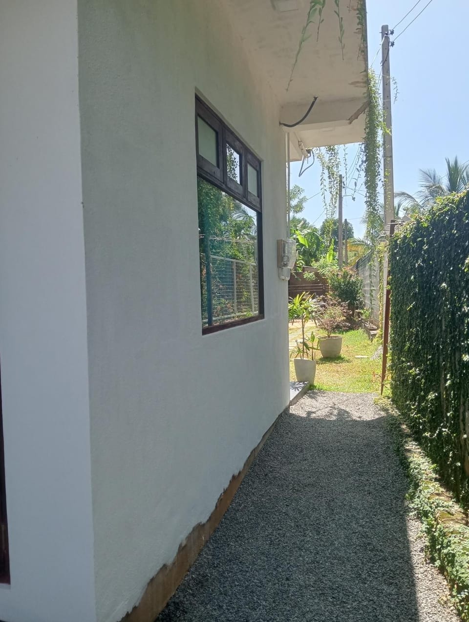 Spring, Garden view