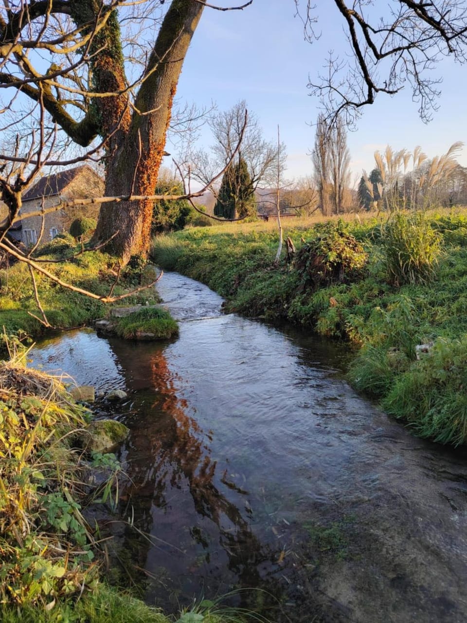 Natural landscape